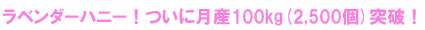 ��٥�����ϥˡ����Ĥ��˷100kg(2,500��)���ˡ�