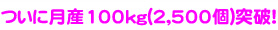 �Ĥ��˷100kg(2,500��)���ˡ�